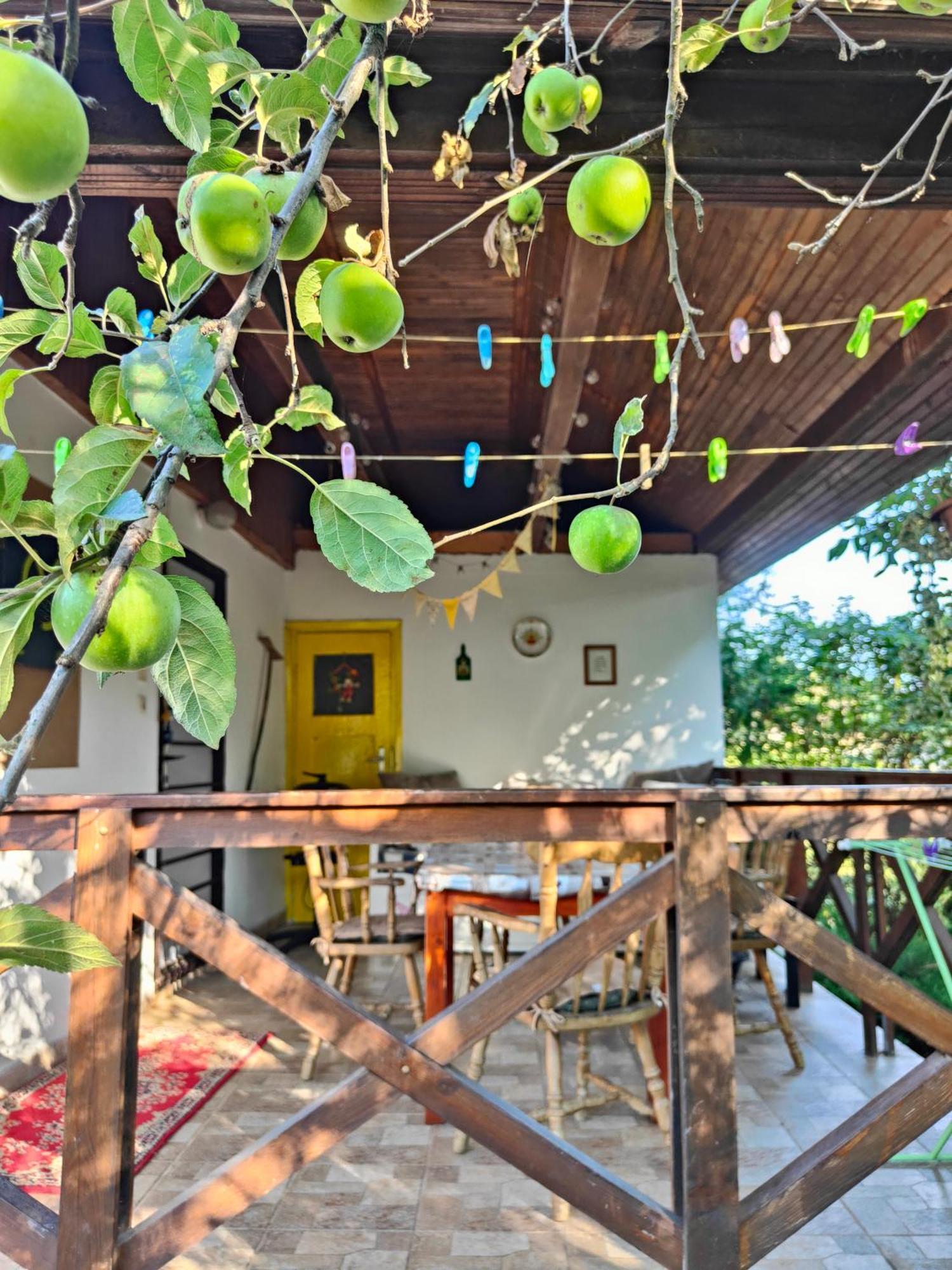 Loci Palochaz Villa Nagyloc Exterior photo